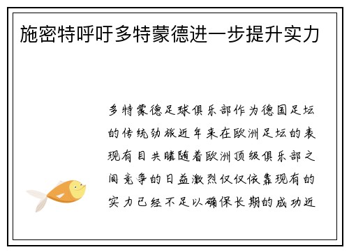 施密特呼吁多特蒙德进一步提升实力